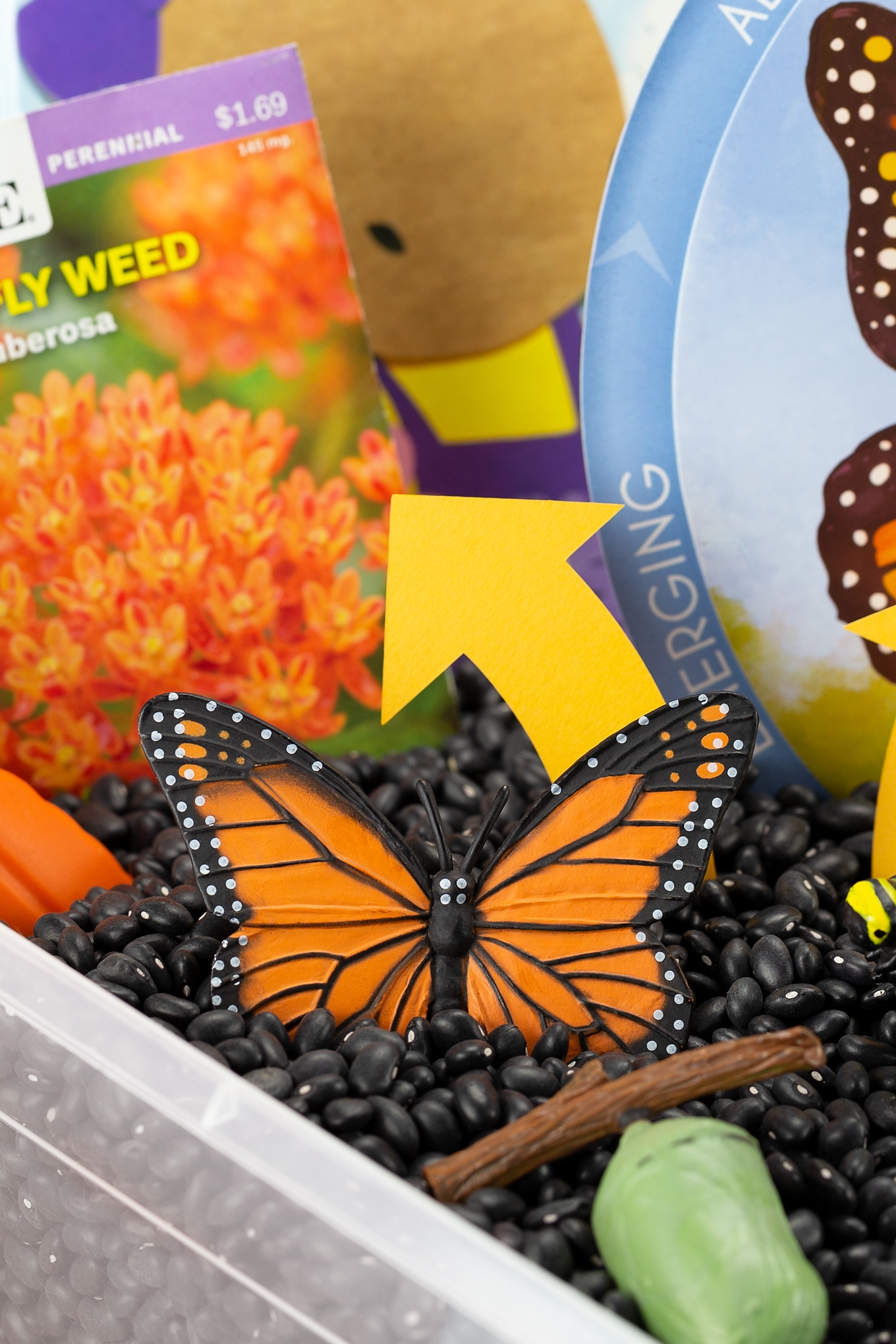 butterfly life cycle toys