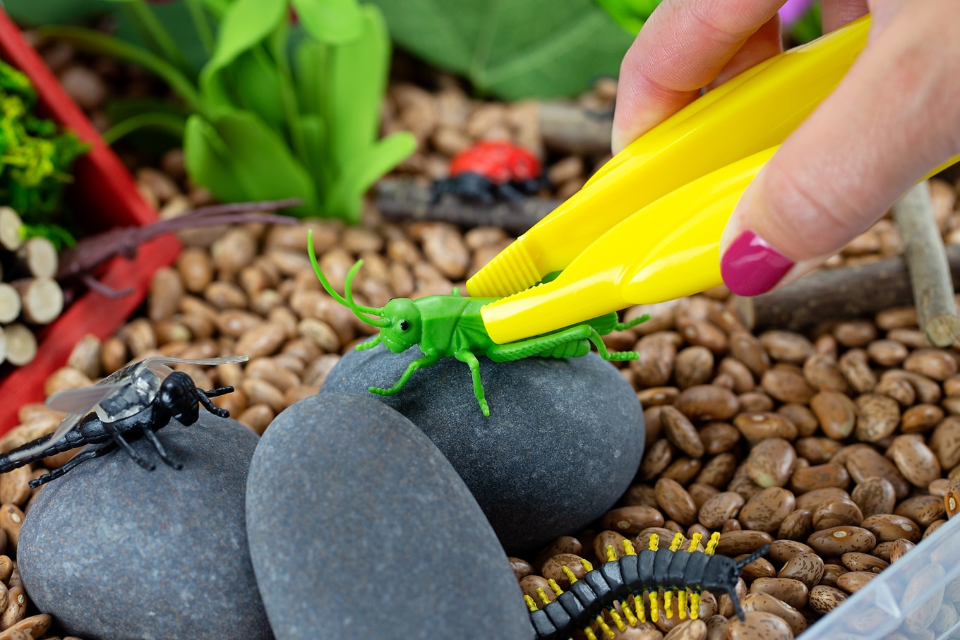 Using Jumbo Tweezers in Bug Sensory Bin Using Jumbo Tweezers in Bug Sensory Bin