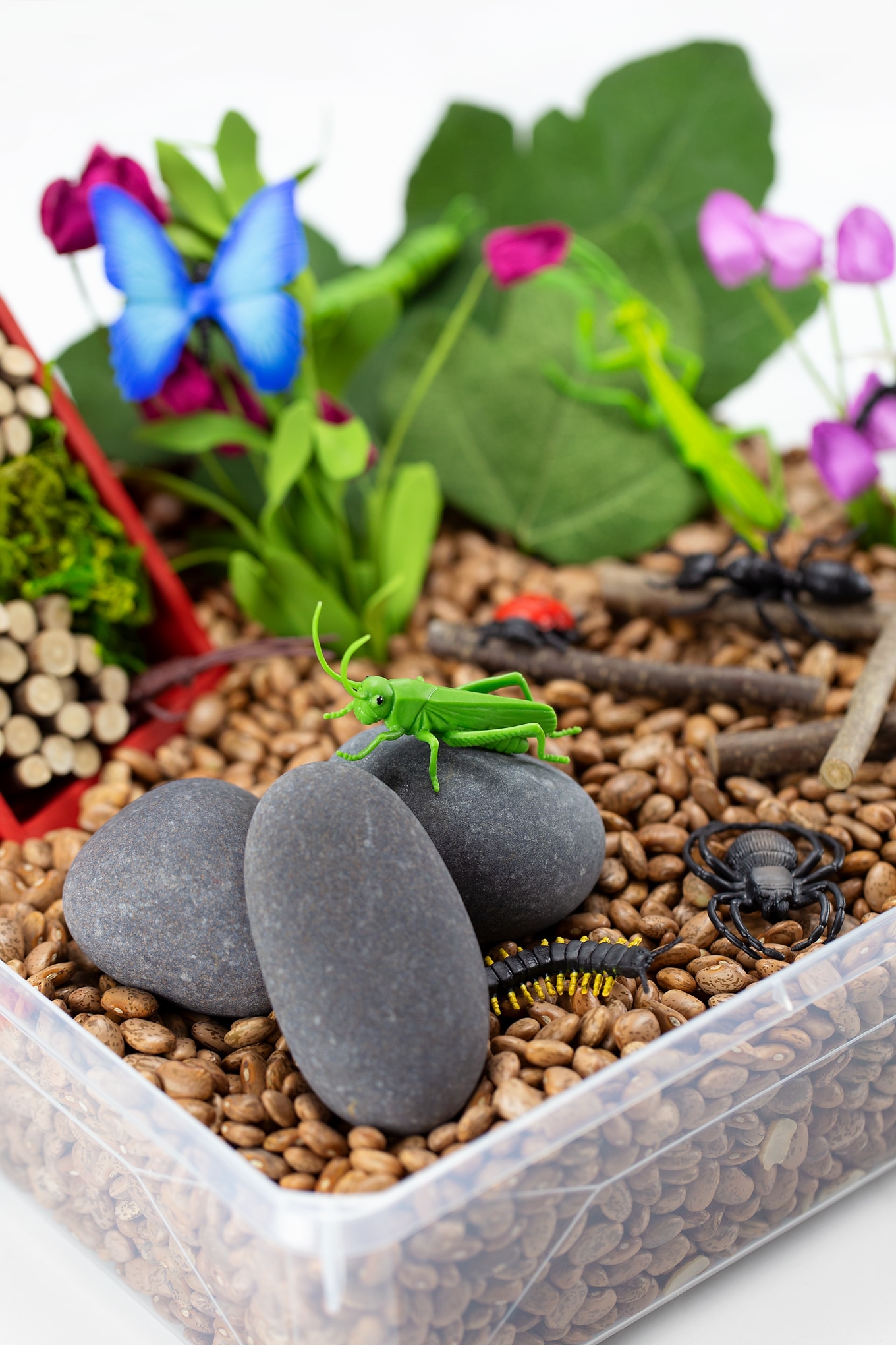 Bug Sensory Bin for Kids Bug Sensory Bin for Kids