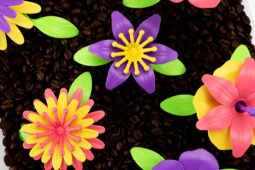 Pinterest Hidden Image