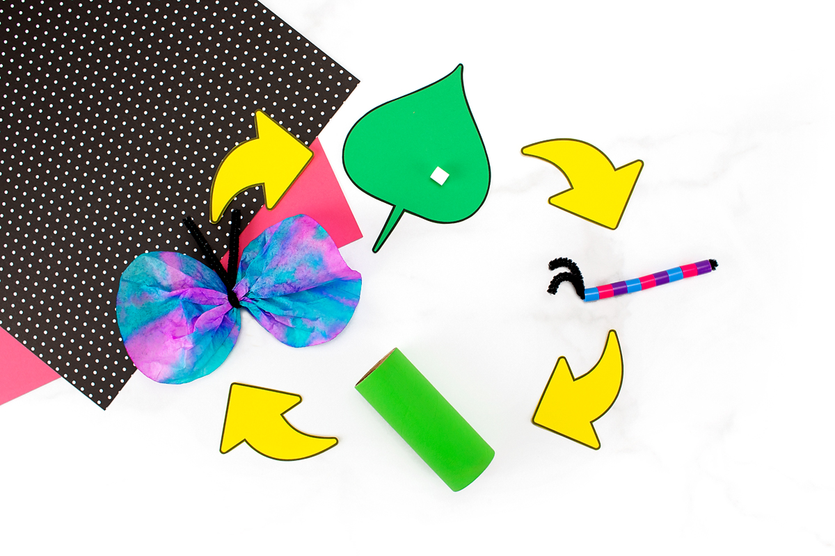 Finished butterfly life cycle craft.