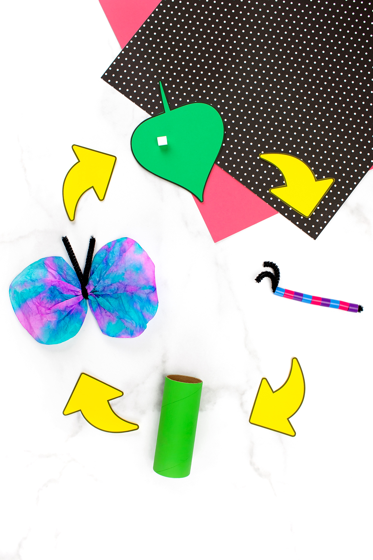 Full butterfly life cycle craft for kids.