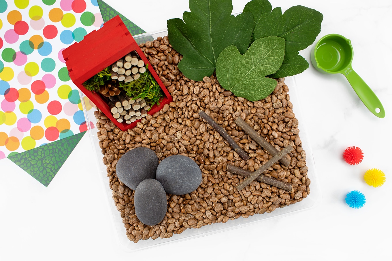Insect Sensory Bin for Kids