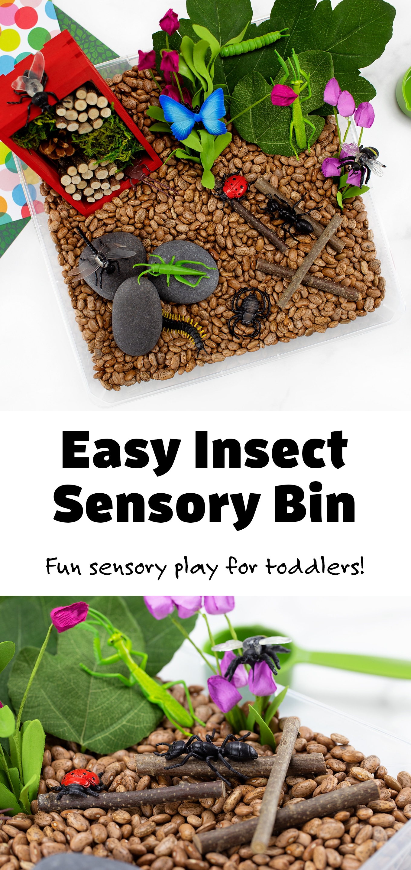 Pinterest Hidden Image