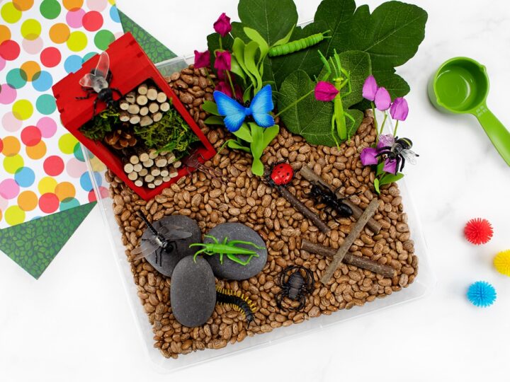 Bug Sensory Bin