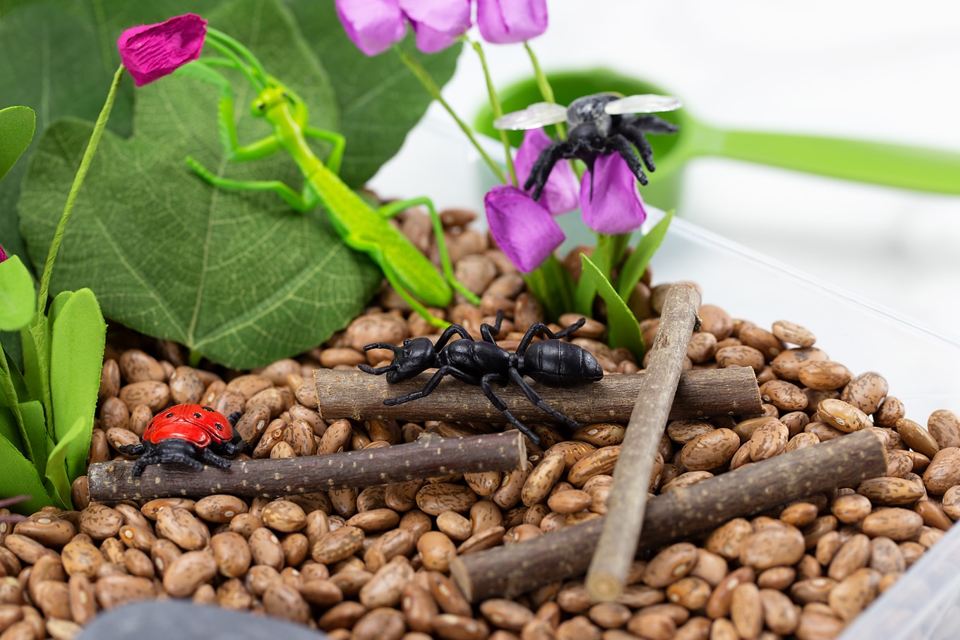 Bug Toys, Sticks, and Beans in Bug Sensory Bin Bug Toys, Sticks, and Beans in Bug Sensory Bin