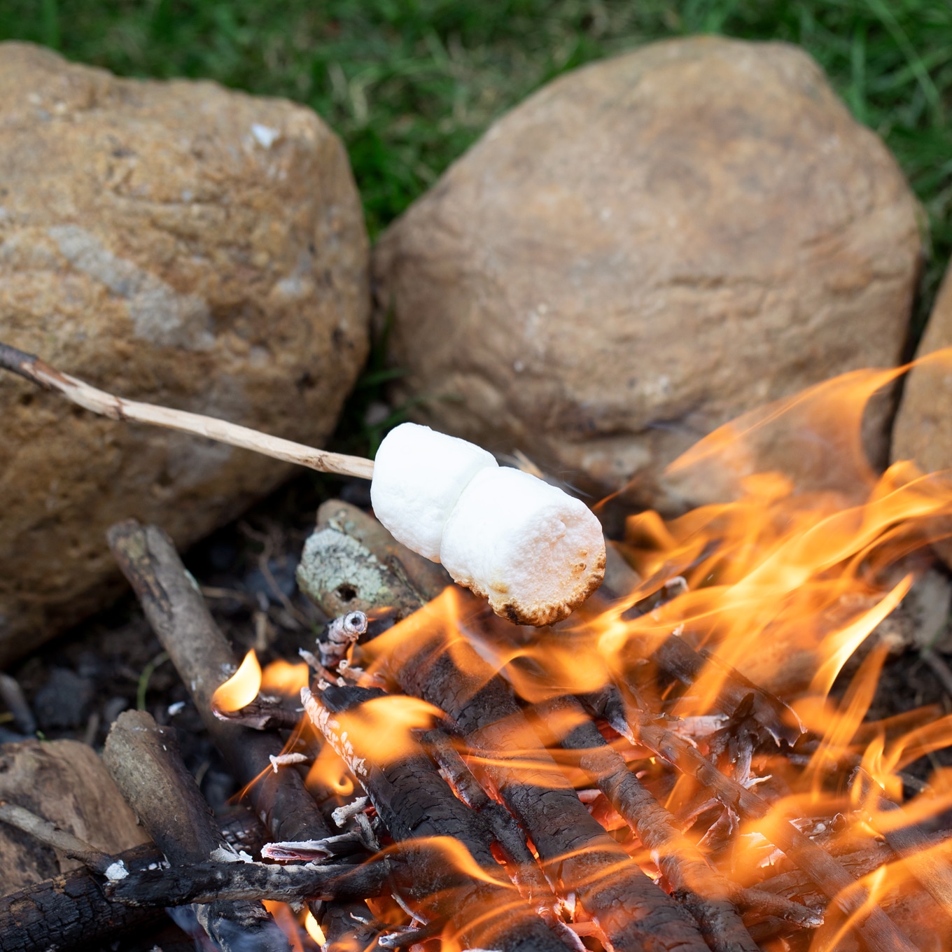 Roasting S'mores Over a Campfire Roasting S'mores Over a Campfire
