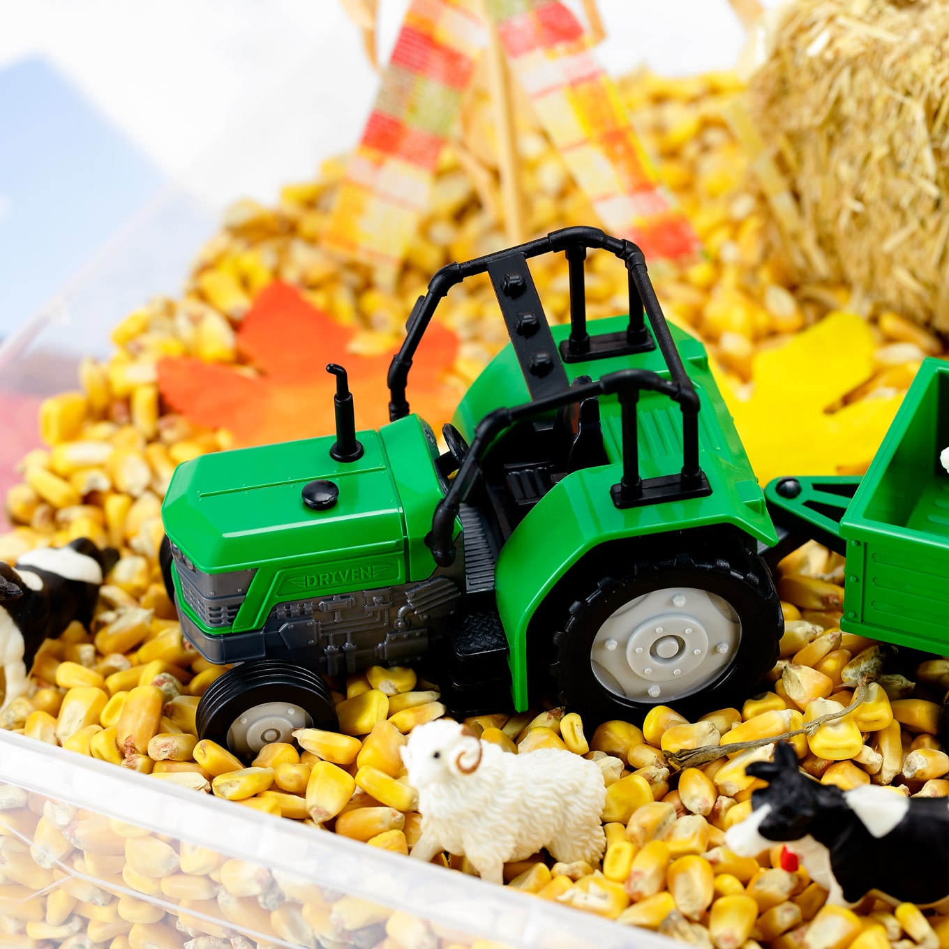 Harvest Sensory Bin Harvest Sensory Bin