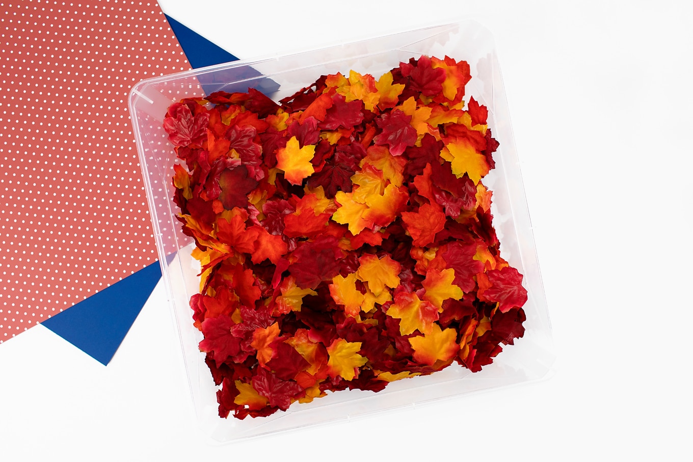 Fall Leaves Sensory Bin