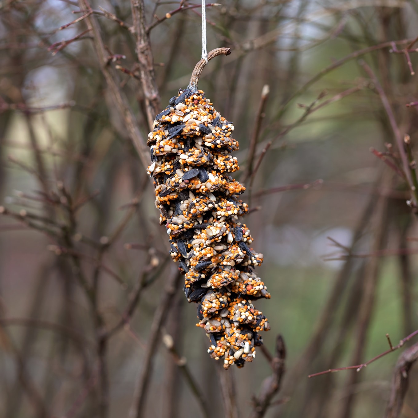 Pine Cone Bird Feeder Pine Cone Bird Feeder