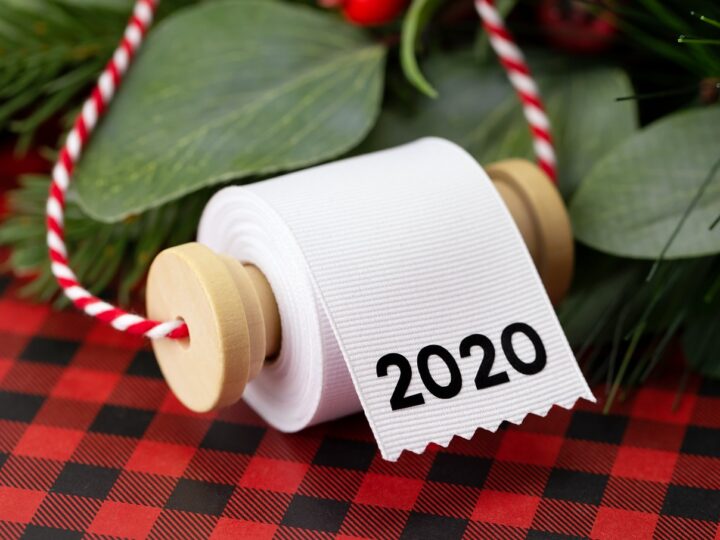 Toilet Paper Ornament