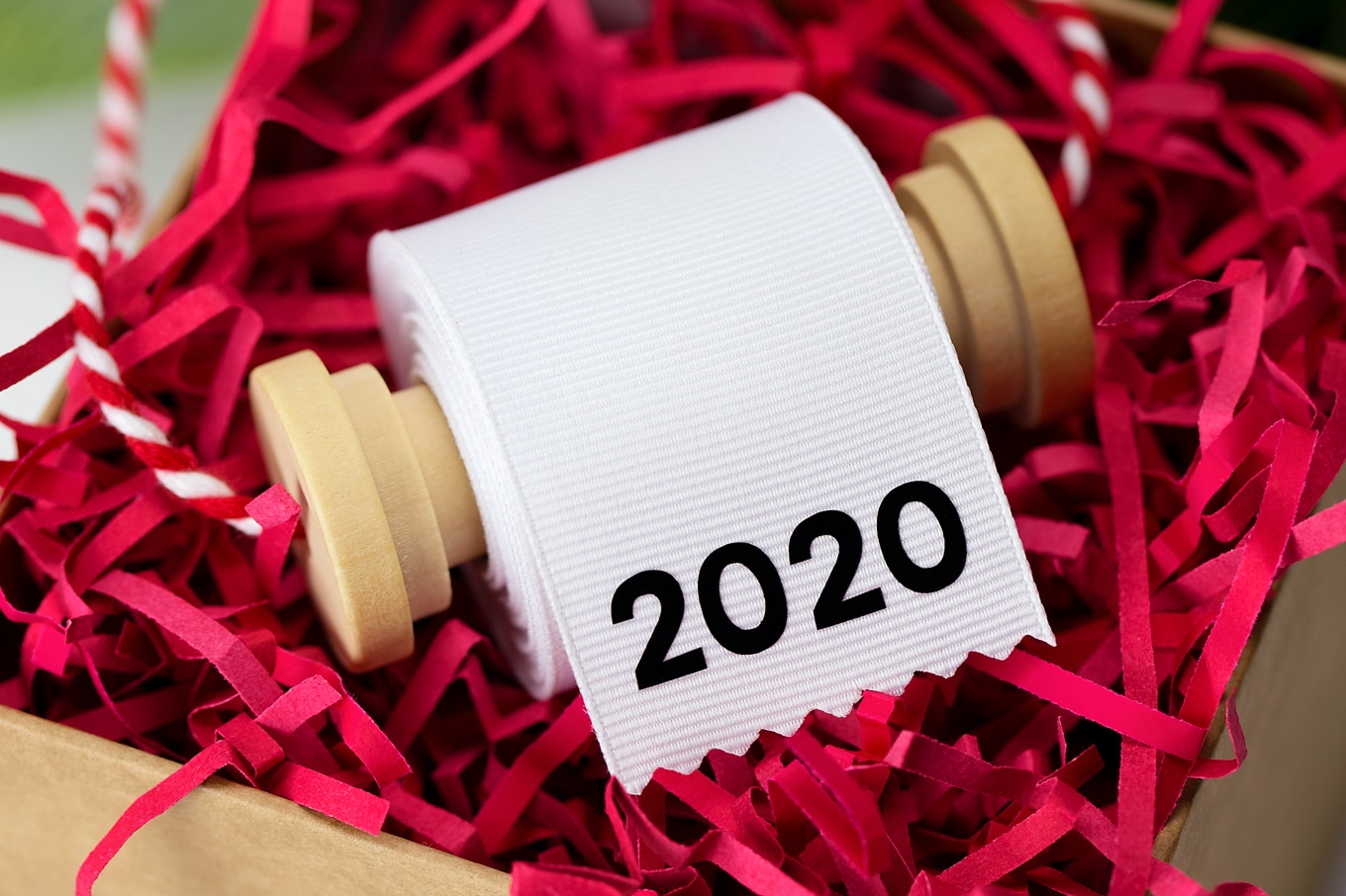 2020 Toilet Paper Ornament