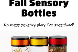 Pinterest Hidden Image