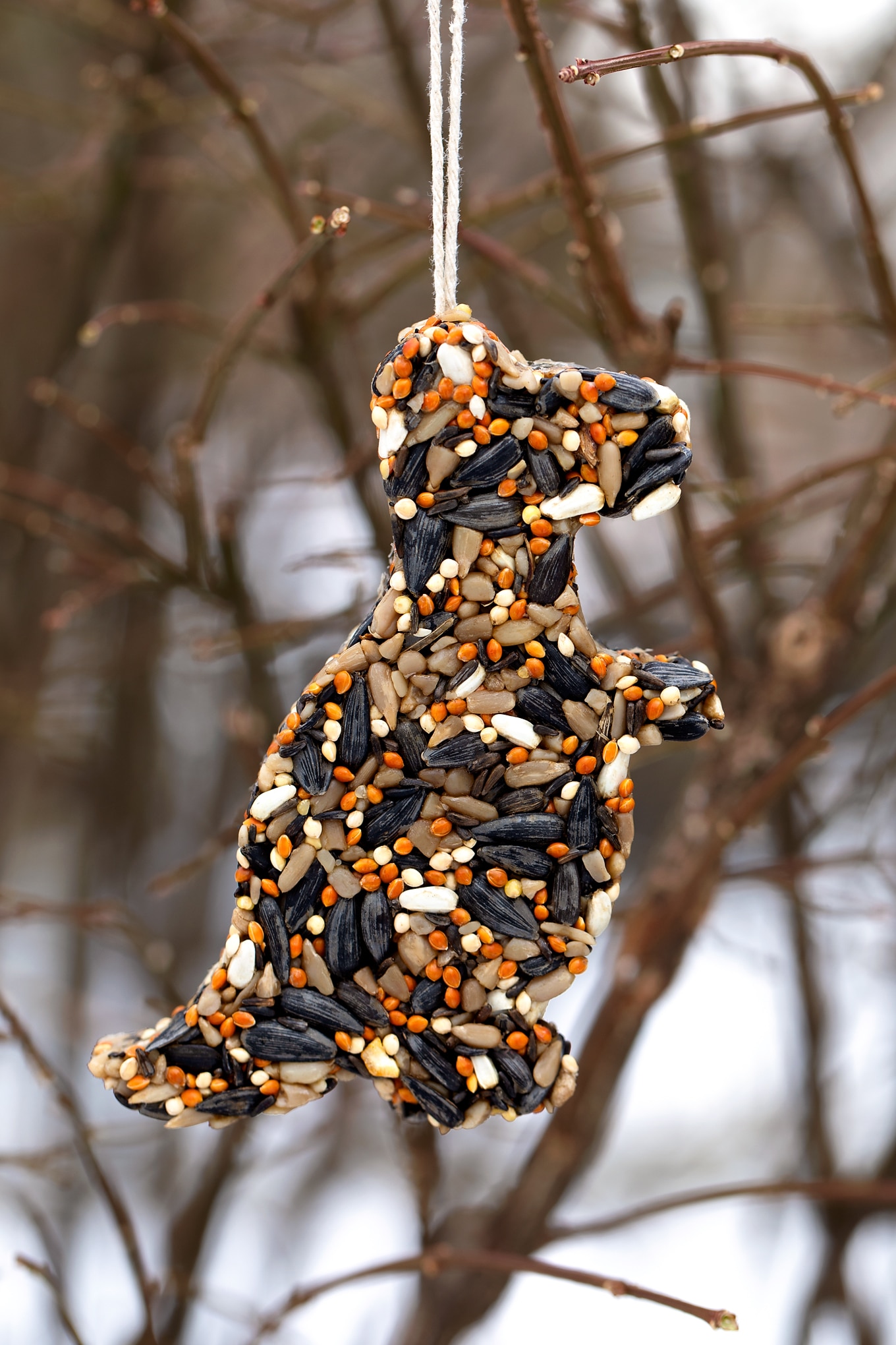 Dinosaur Shaped Birdseed Ornament Dinosaur Shaped Birdseed Ornament