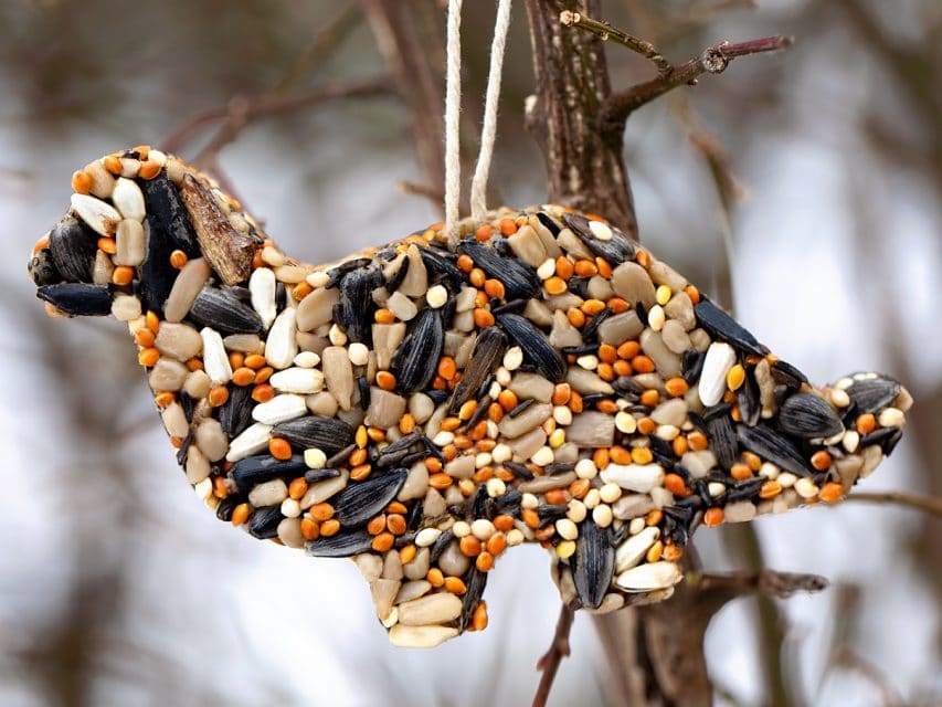 Birdseed Ornaments Without Gelatin Fireflies and Mud Pies