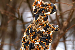 Pinterest Hidden Image