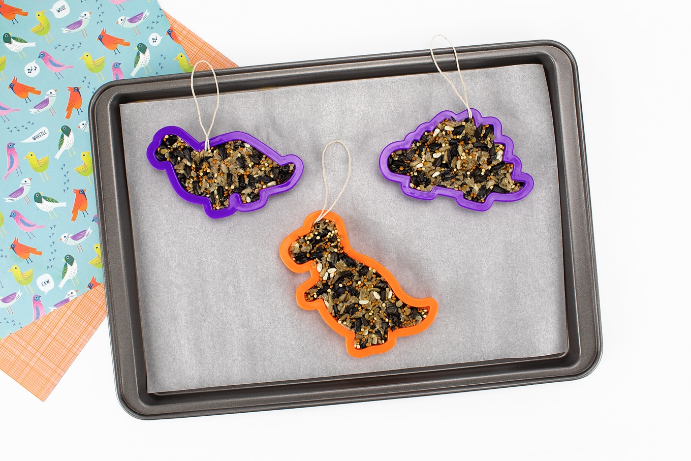 Three Dinosaur-Shaped Birdseed Ornaments Three Dinosaur-Shaped Birdseed Ornaments