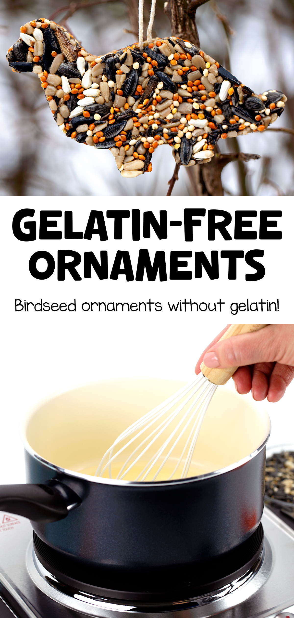 Finished birdseed ornament hanging in a tree.