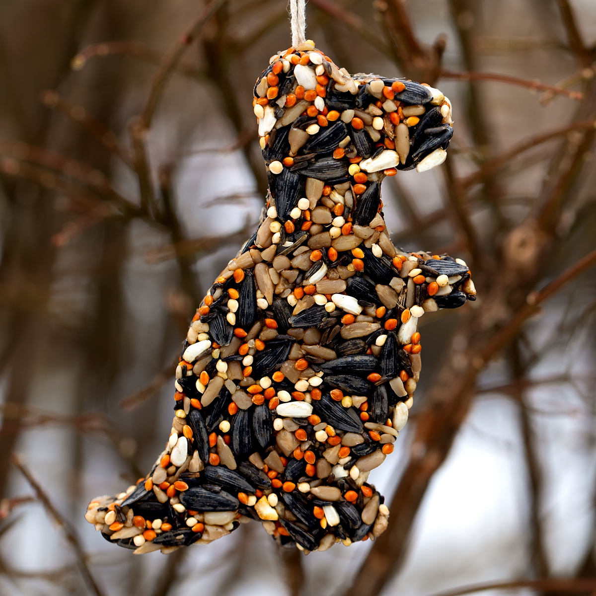 Dinosaur Shaped Birdseed Ornament Dinosaur shaped gelatin-free birdseed ornament hanging from a bush.