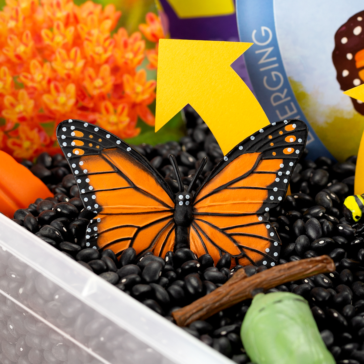 Monarch Butterfly Toy in a Sensory Bin Monarch butterfly toy in a sensory bin.