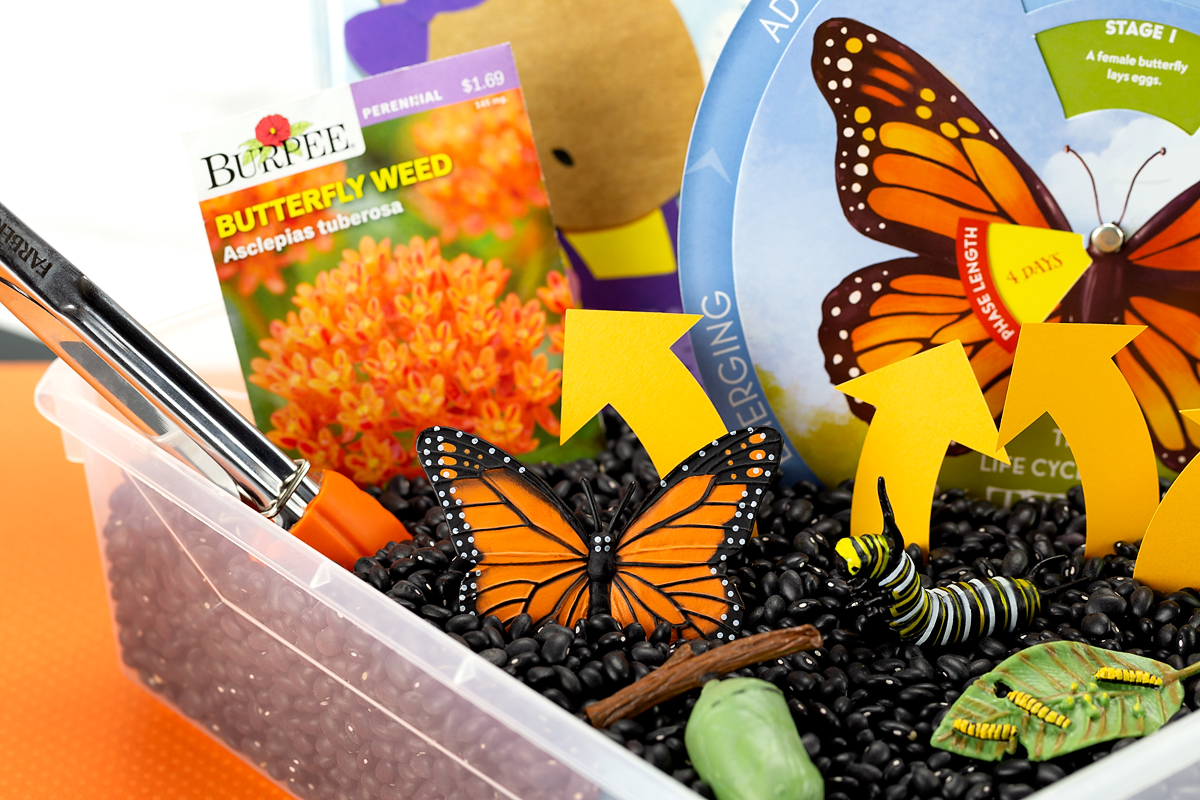 Butterfly Life Cycle Sensory Bin