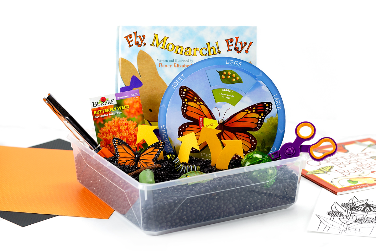 Life Cycle of a Butterfly Activity Full butterfly sensory bin for kids.