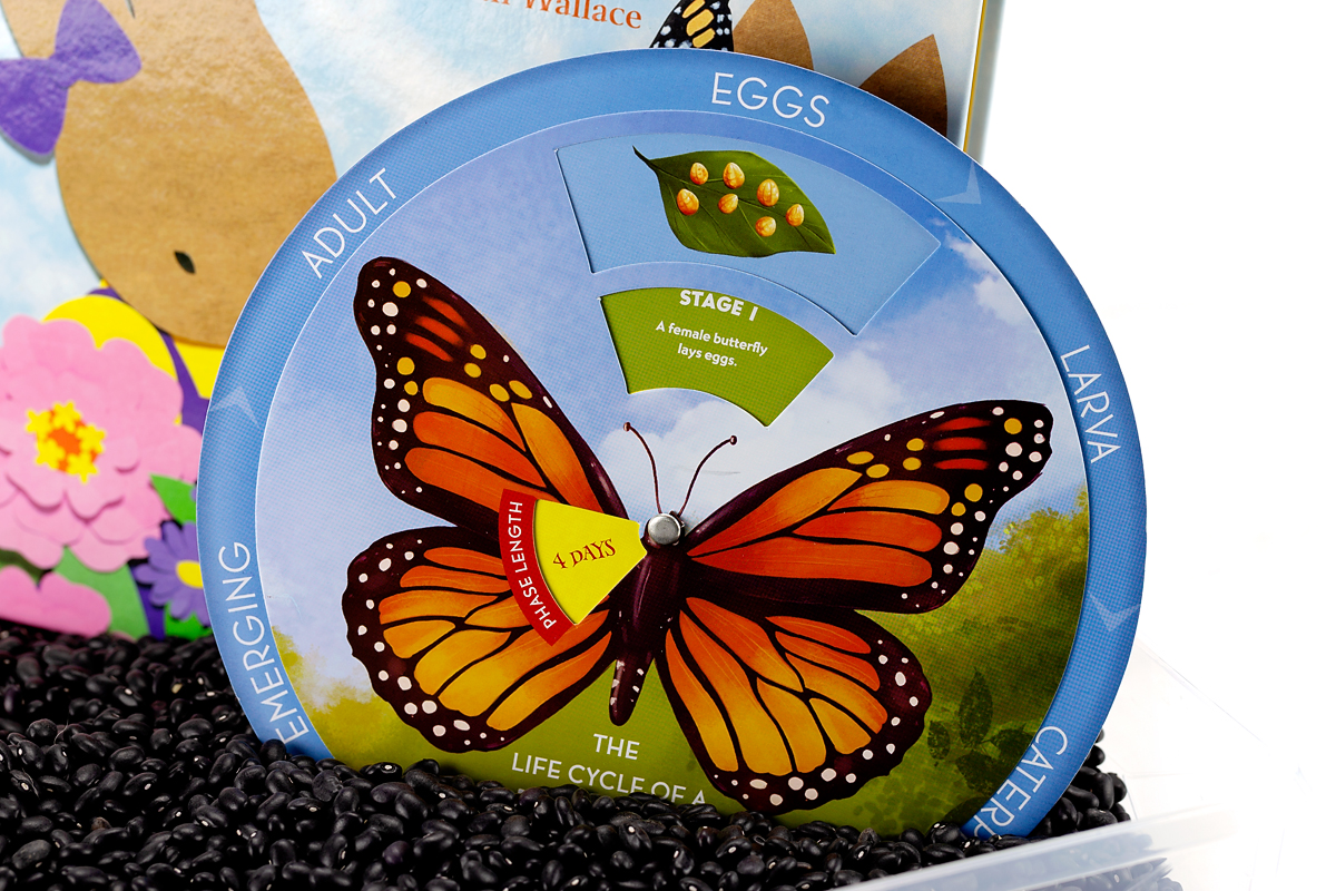 Monarch Butterfly Life Cycle Wheel