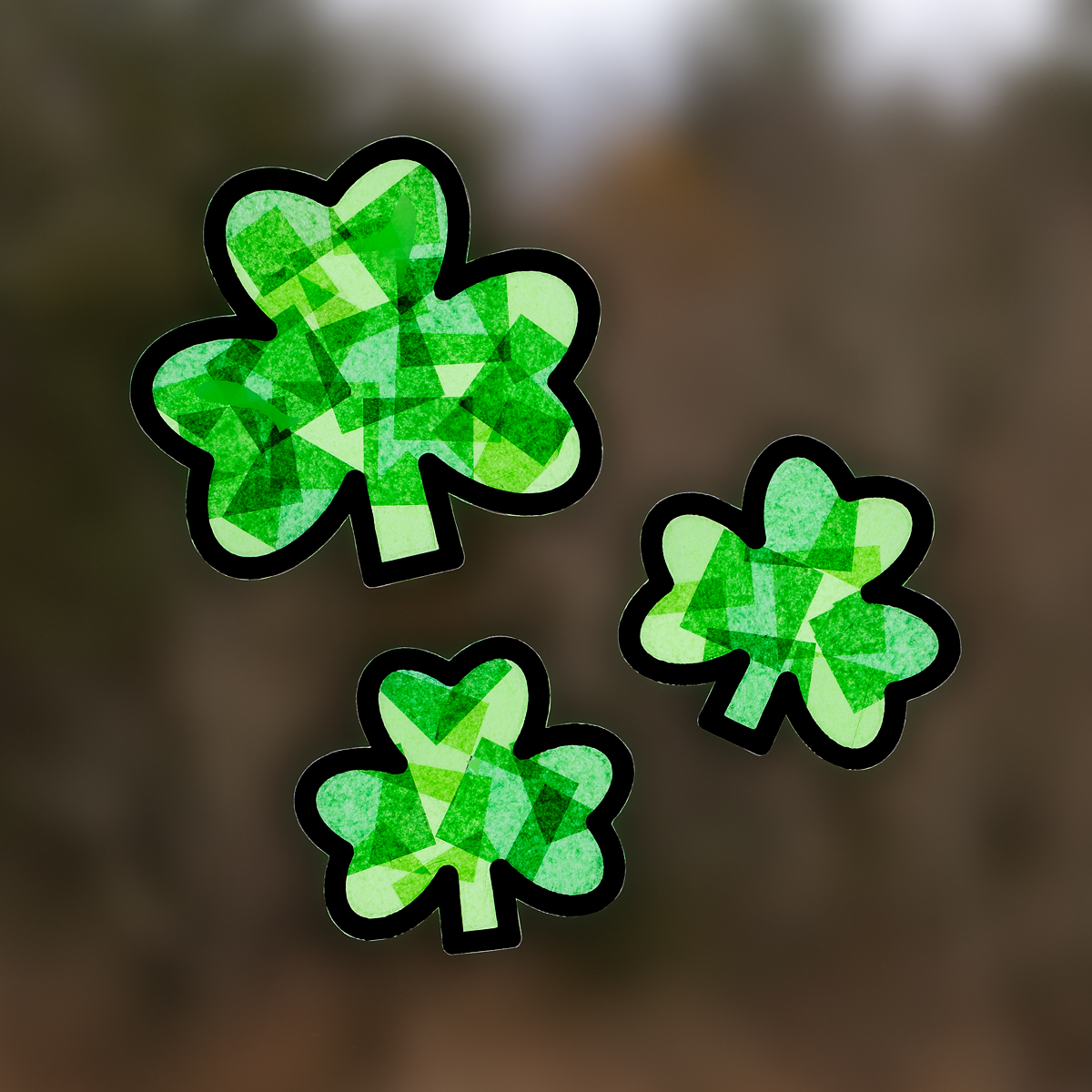 Three shamrock suncatchers on a window.