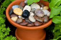 Pinterest Hidden Image