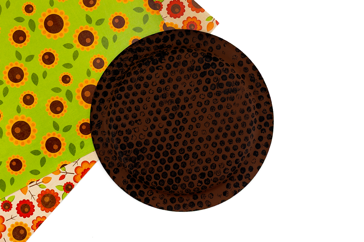 Bubblewrap painted paper plate.