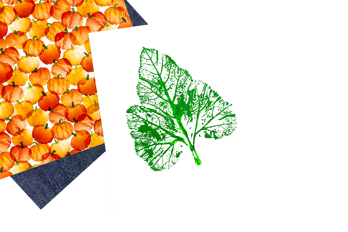 Pumpkin leaf printed onto a paper.