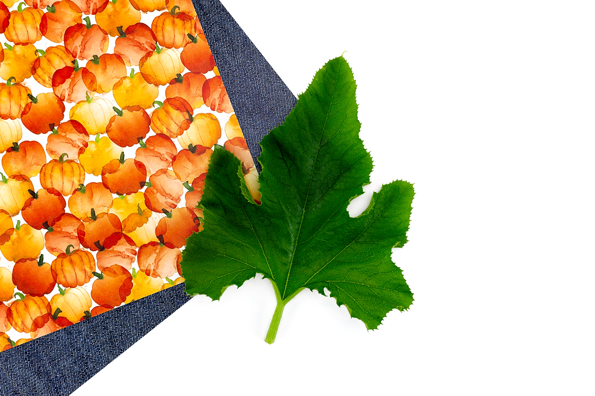 Pumpkin leaf on a table.