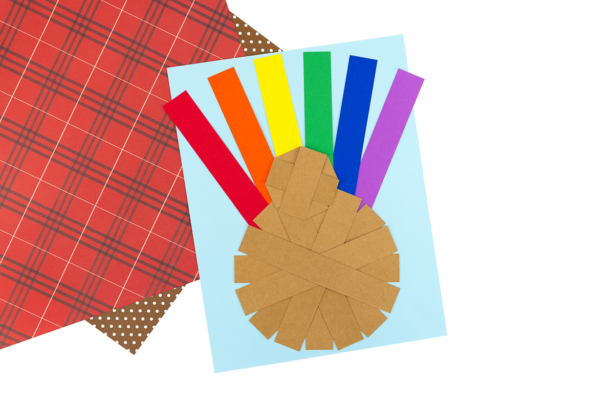 Turkey head, body, and feathers. 