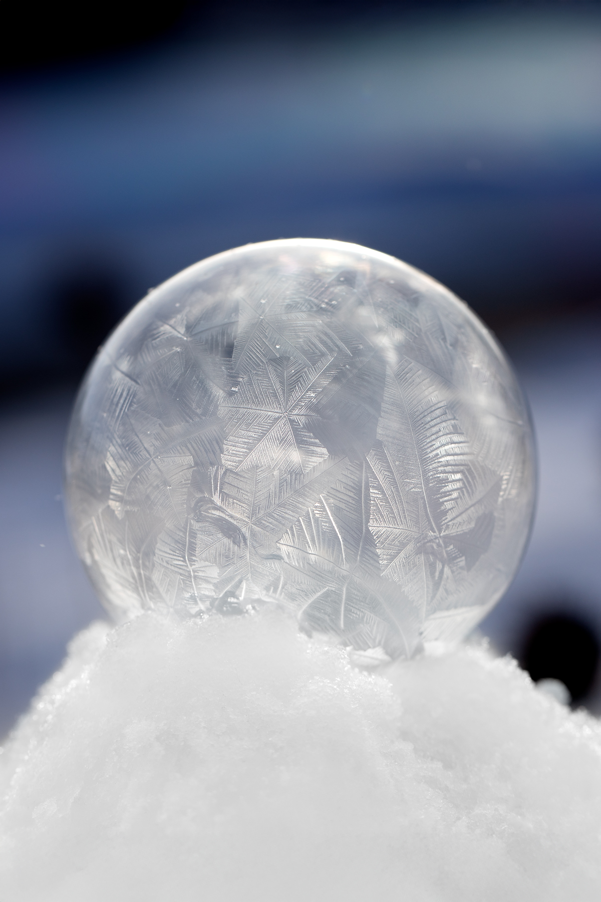 Frozen bubble on snow. 