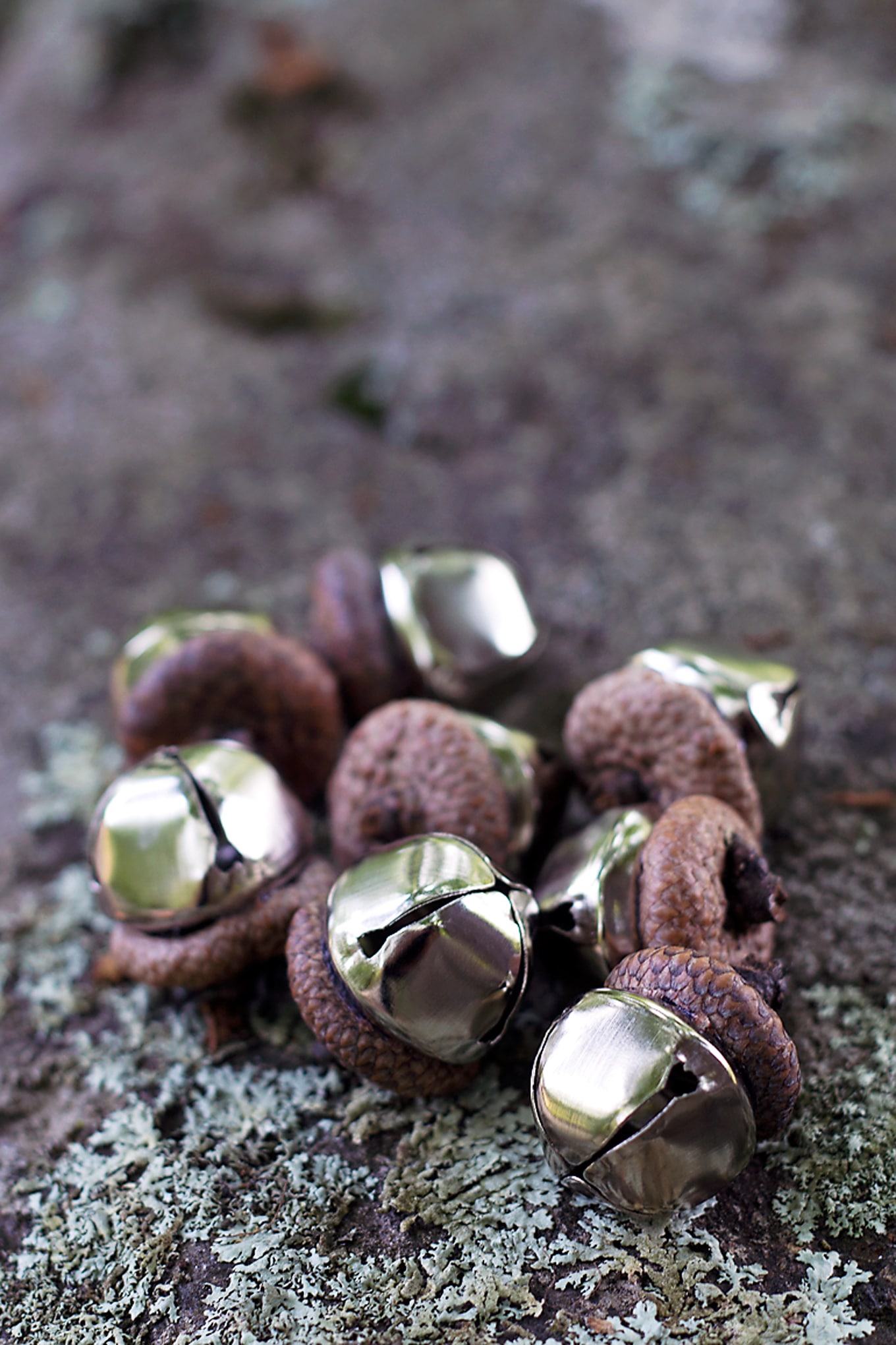 Acorn Bells, an easy nature craft for kids, are a sweet addition to gardens, fairy houses, or fall decor.