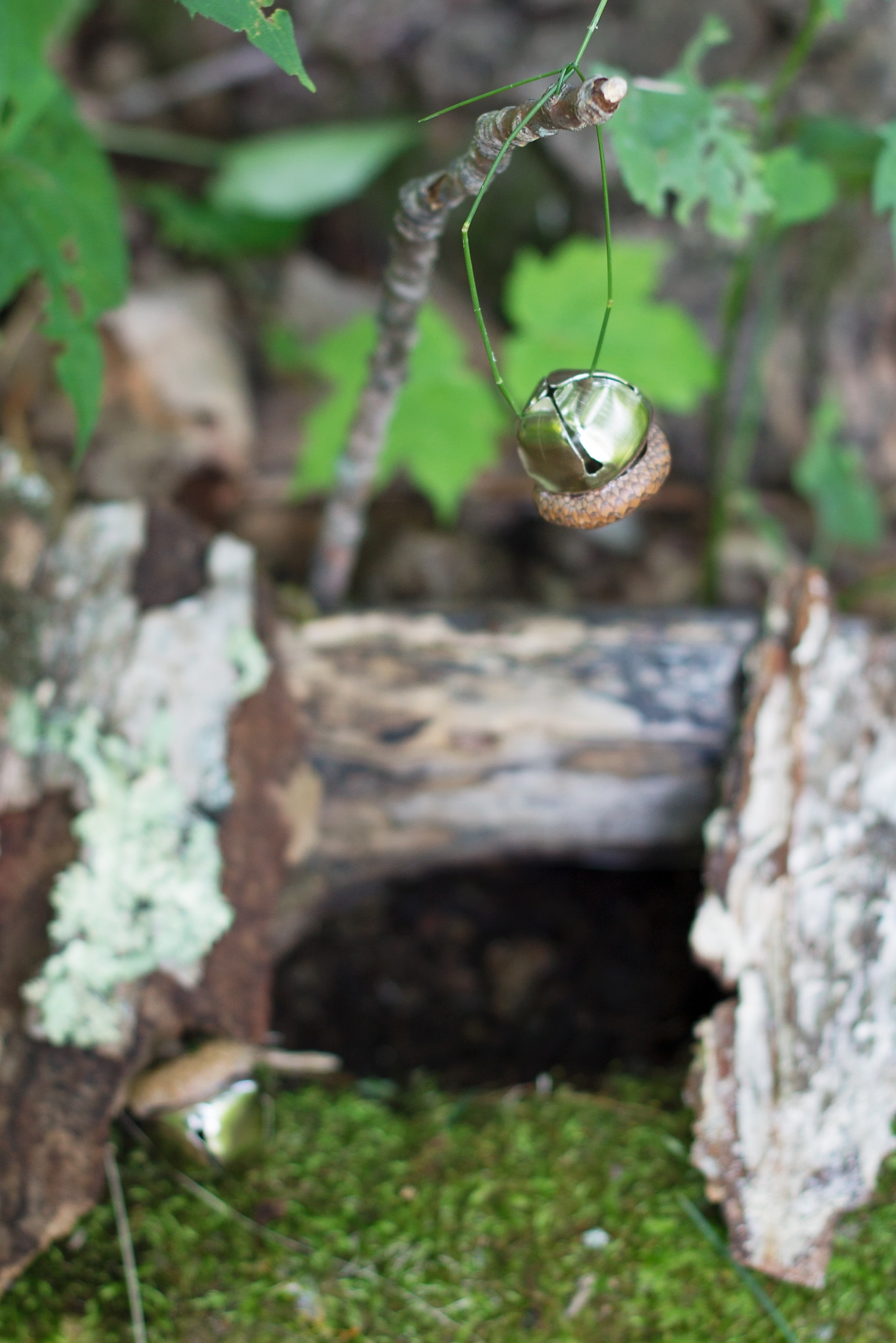 Acorn Bells, an easy nature craft for kids, are a sweet addition to gardens, fairy houses, or fall decor.