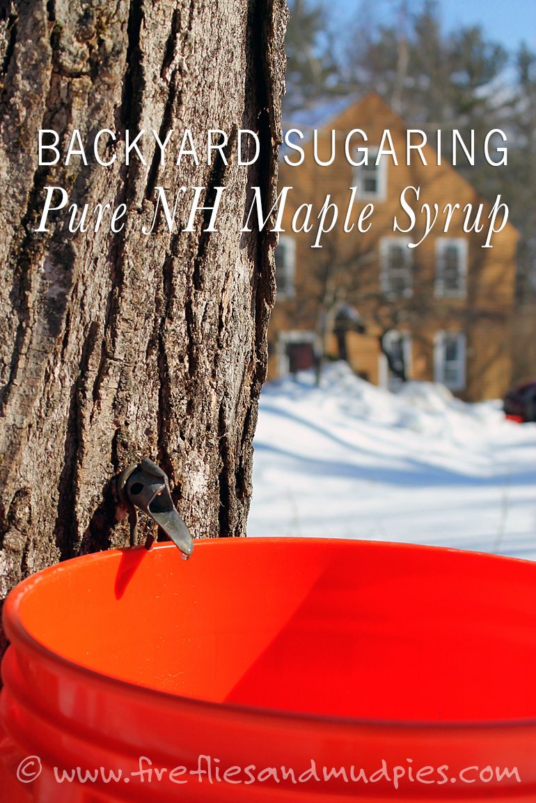 Backyard Sugaring Fireflies And Mud Pies