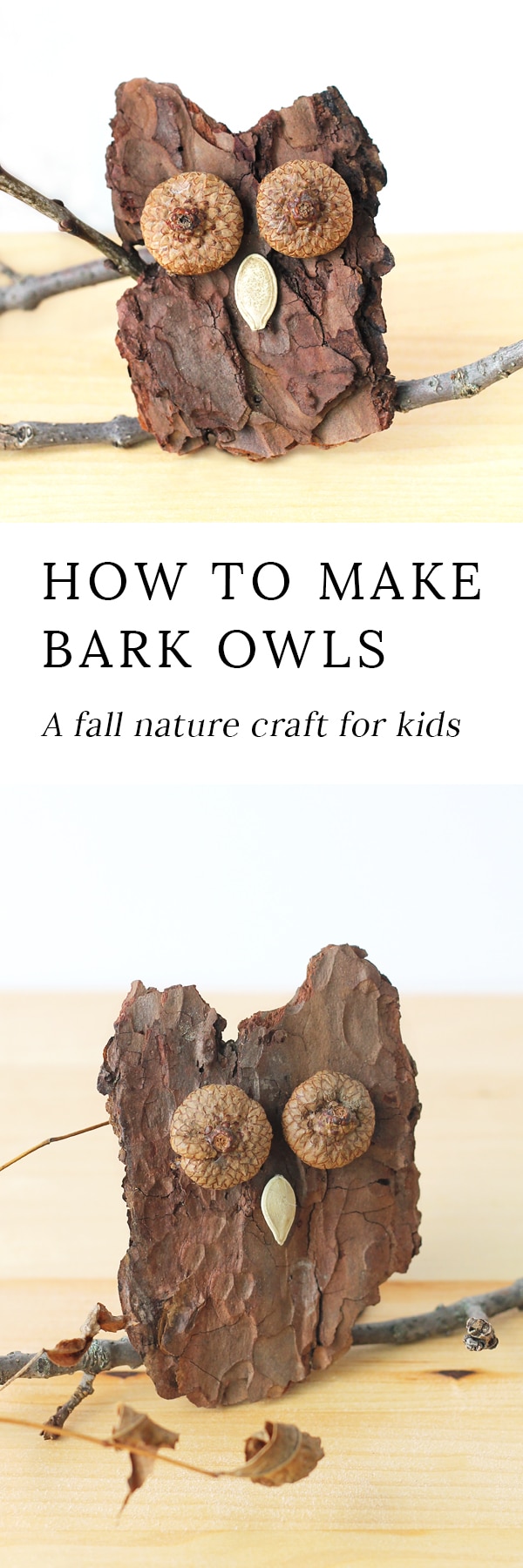 Kids of all ages will enjoy making Bark Owls from bark, acorns, twigs, and seeds after a fall nature walk.