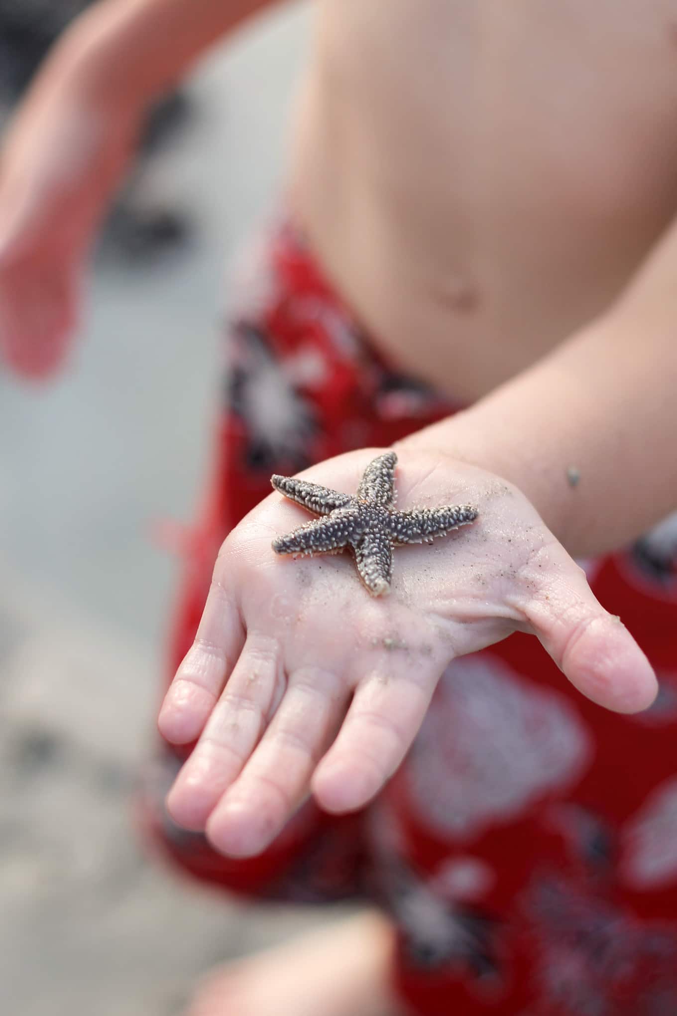 This Simple Beach Keepsake Craft is the perfect DIY souvenir for kids to remember their special seaside adventure!