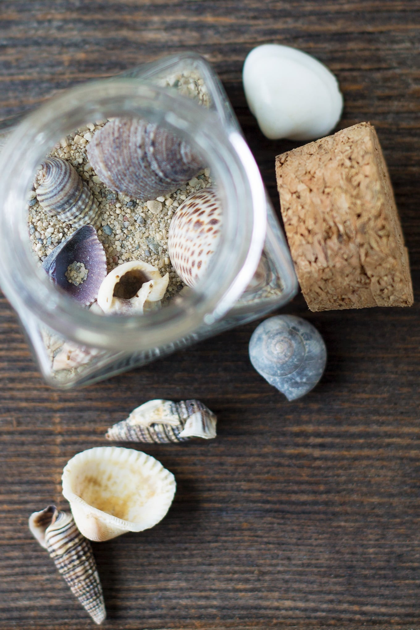 This Simple Beach Keepsake Craft is the perfect DIY souvenir for kids to remember their special seaside adventure!