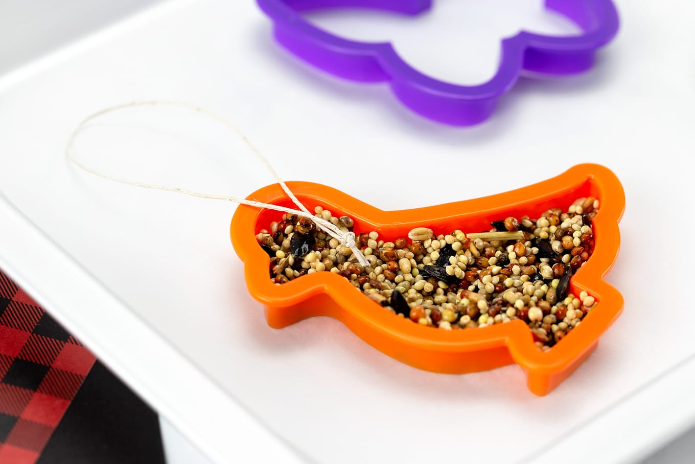 Hang Birdseed Ornaments with Hemp