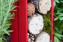 Pinterest Hidden Image