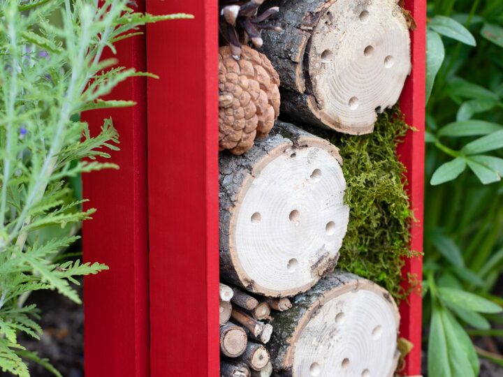 How to Make a Bug Hotel