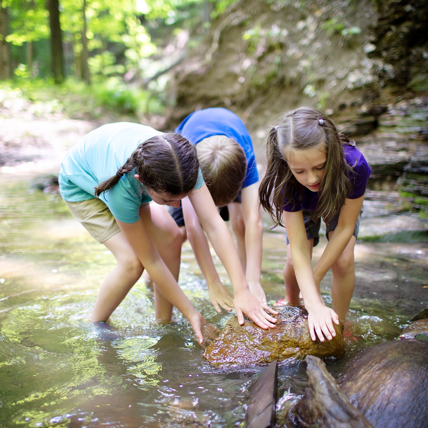 Children Rolling Rock in Creek Children Rolling Rock in Creek
