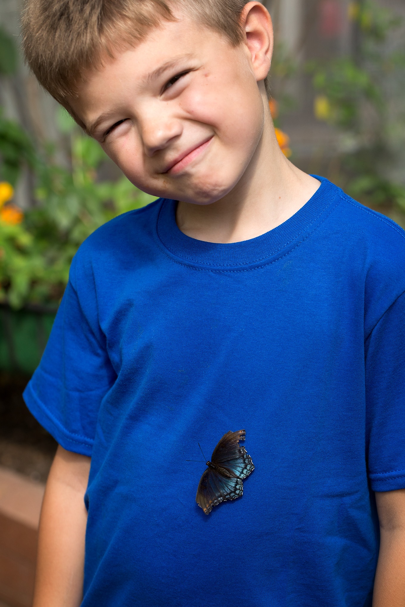 Child With Butterfly On His Shirt