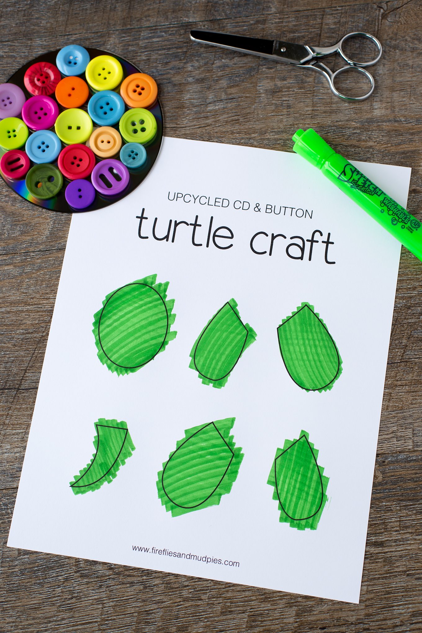 Turtle Template for Turtle Craft