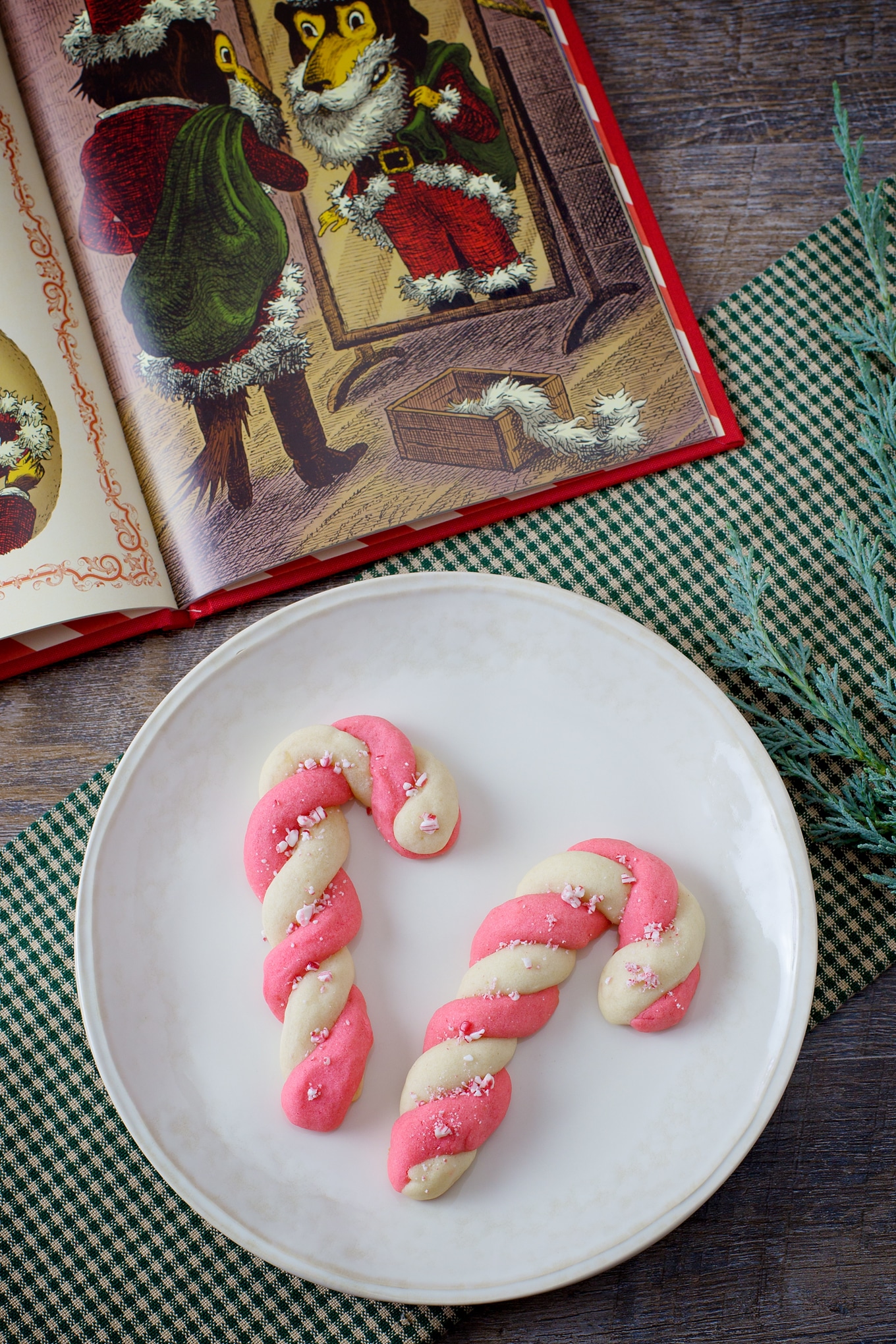 Candy Cane Cookies and Christmas Book