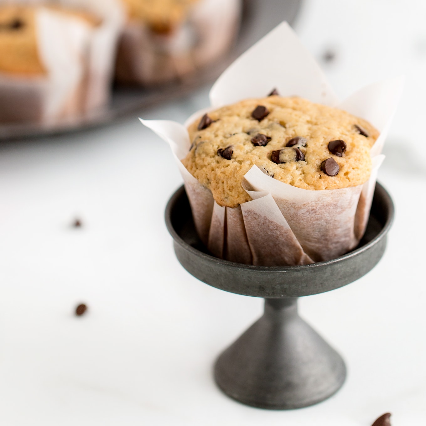 Single Chocolate Chip Muffin