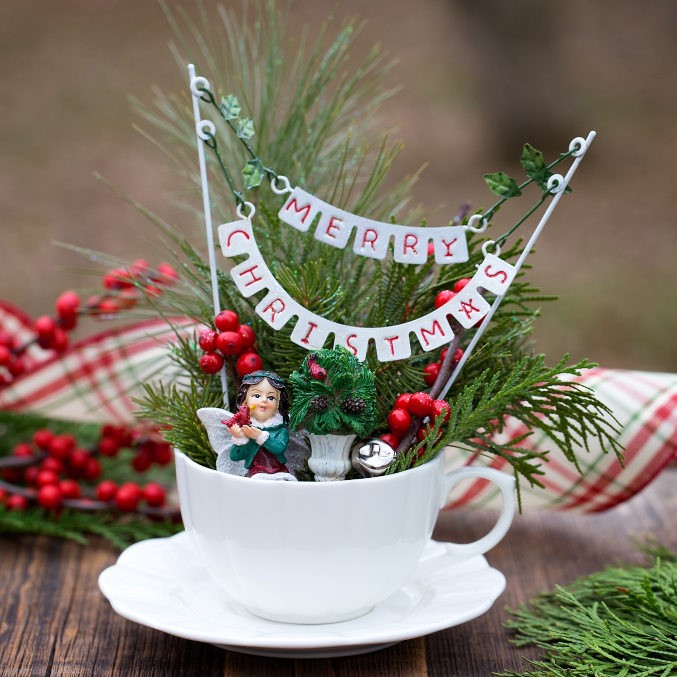 How to Make a Christmas Teacup Garden