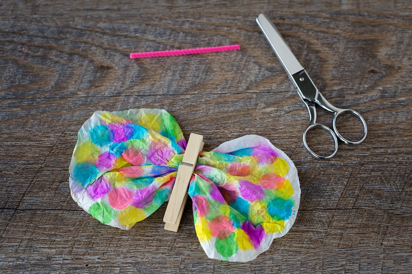 Coffee Filter Butterfly In Process